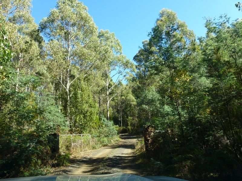 550 Porters Bridge Road, Reedy Marsh TAS 7304