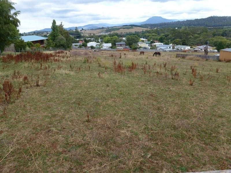 46A Beefeater Street, Deloraine TAS 7304
