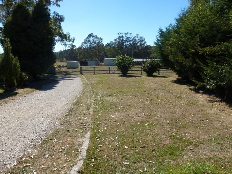331 Western Creek Road, Western Creek TAS 7304