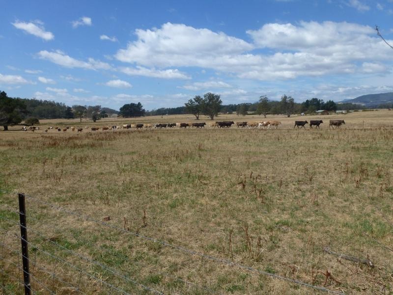 49 Rosedean Road, Western Creek TAS 7304