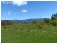 2083 Mole Creek Road, Mole Creek TAS 7304