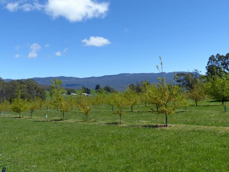 2083 Mole Creek Road, Mole Creek TAS 7304