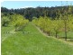 2083 Mole Creek Road, Mole Creek TAS 7304