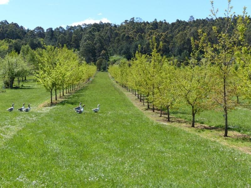 2083 Mole Creek Road, Mole Creek TAS 7304