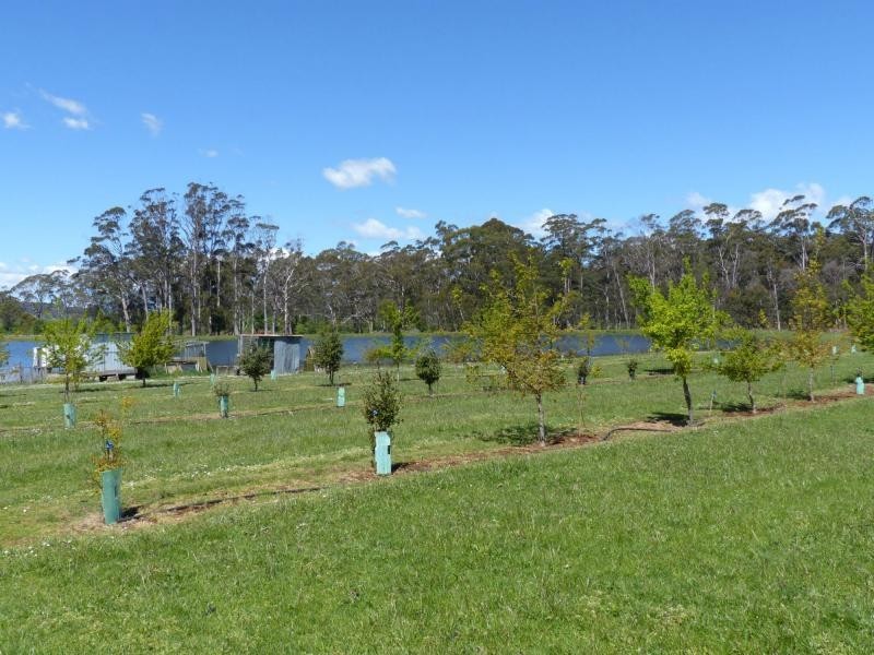 2083 Mole Creek Road, Mole Creek TAS 7304