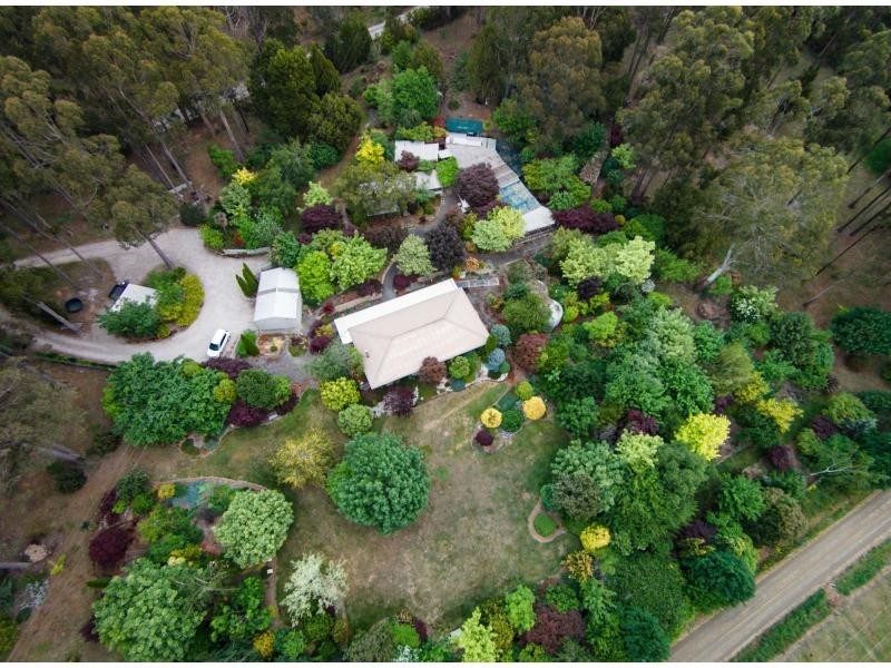 1 Pumicestone Road, Deloraine TAS 7304
