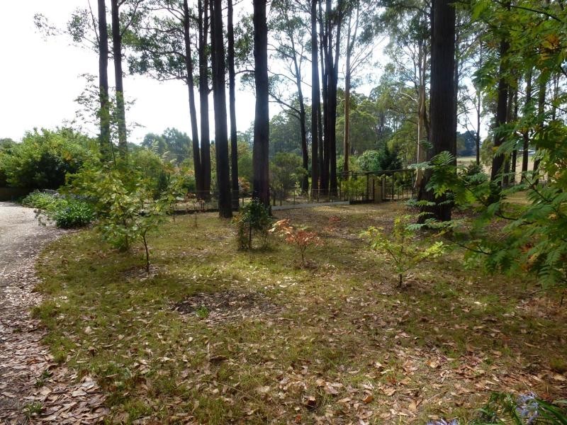 1 Pumicestone Road, Deloraine TAS 7304