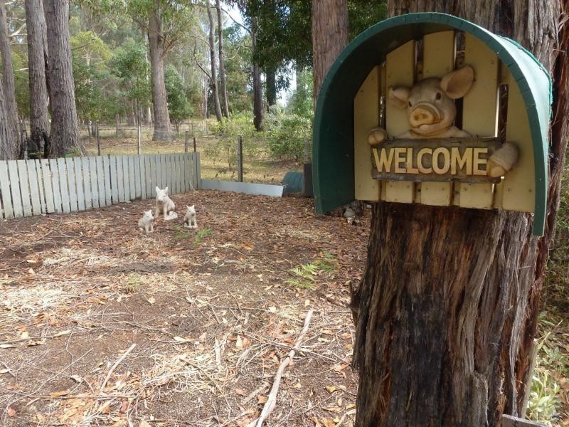 1 Pumicestone Road, Deloraine TAS 7304