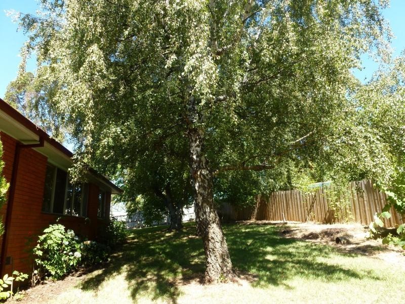 20 Lansdowne Place, Deloraine TAS 7304