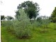 259 Stoodley Road, Sheffield TAS 7306