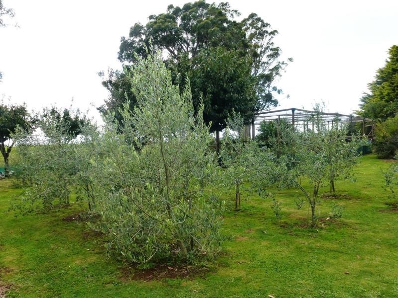 259 Stoodley Road, Sheffield TAS 7306