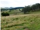 259 Stoodley Road, Sheffield TAS 7306