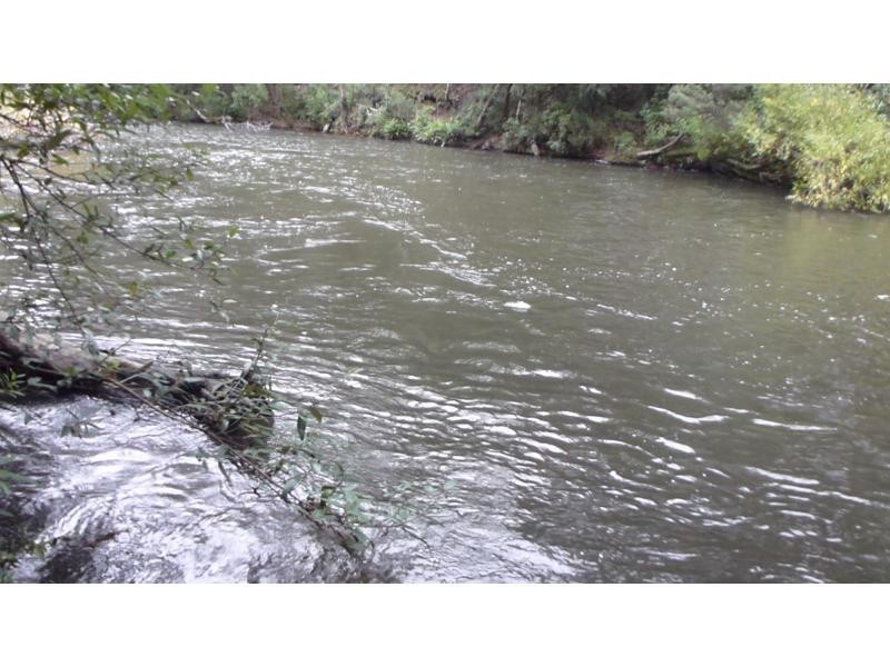 8 Meander Road, Deloraine TAS 7304