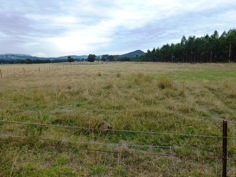 1100 Dairy Plains Road, Western Creek TAS 7304