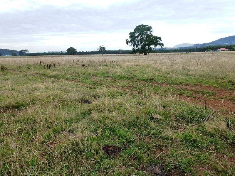 1100 Dairy Plains Road, Western Creek TAS 7304