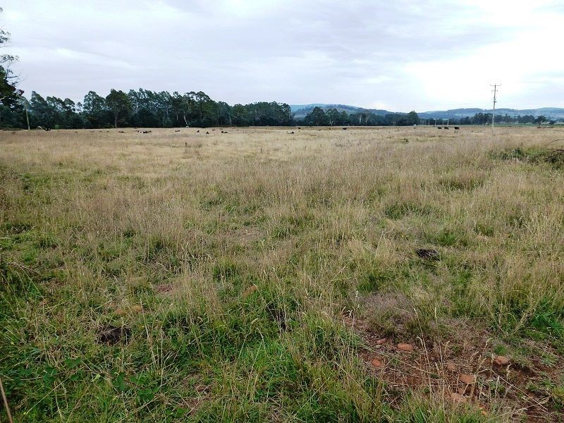 1100 Dairy Plains Road, Western Creek TAS 7304