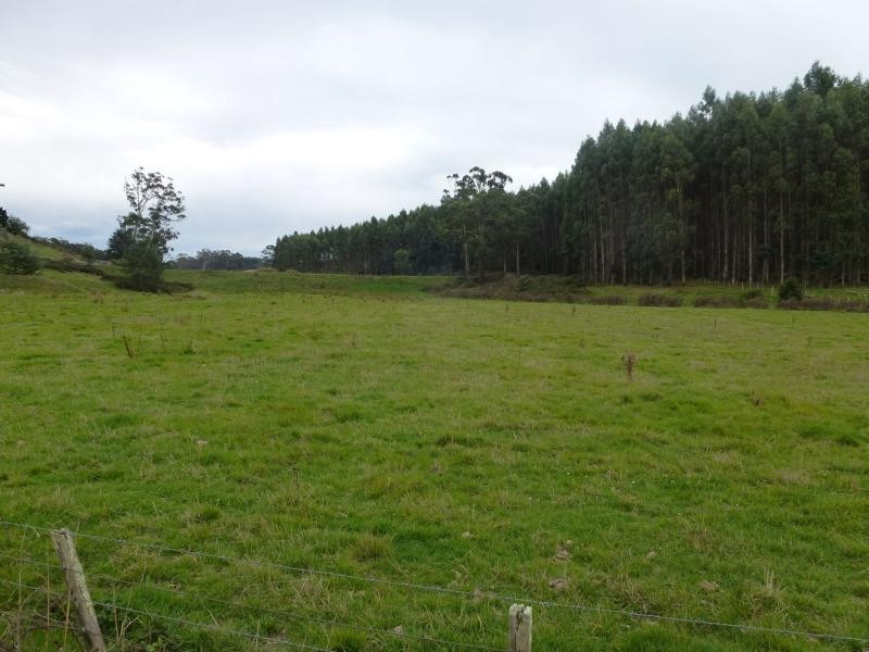 L1 Greenacres Road, Dairy Plains TAS 7304