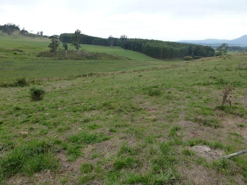 L1 Greenacres Road, Dairy Plains TAS 7304