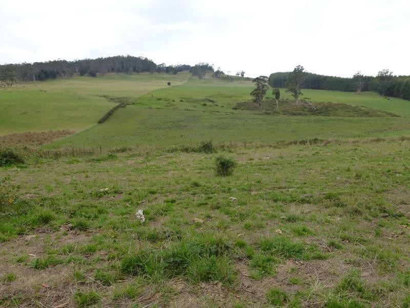 L1 Greenacres Road, Dairy Plains TAS 7304