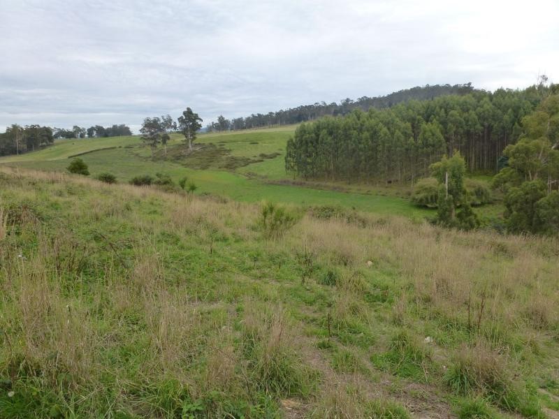 L1 Greenacres Road, Dairy Plains TAS 7304