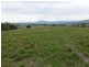 L1 Greenacres Road, Dairy Plains TAS 7304