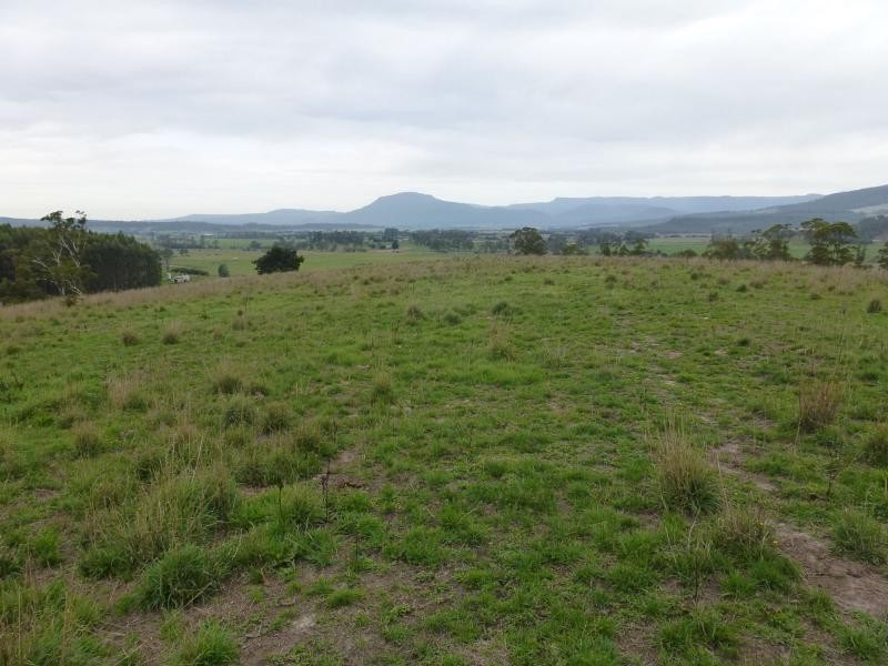 L1 Greenacres Road, Dairy Plains TAS 7304
