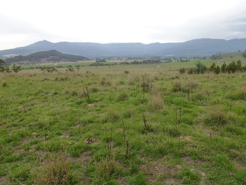L1 Greenacres Road, Dairy Plains TAS 7304