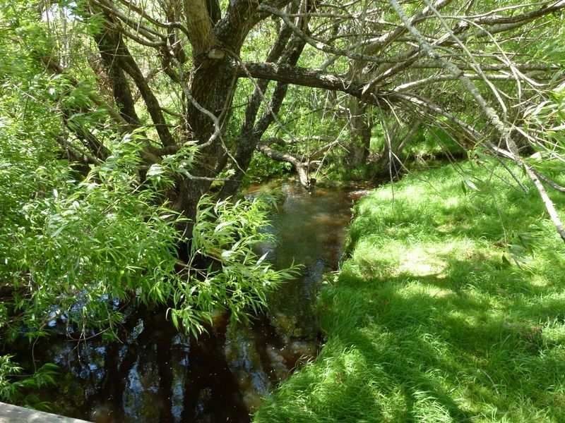 2317 Frankford Road, Frankford TAS 7275