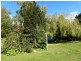 11 Union Bridge Road, Mole Creek TAS 7304
