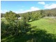 11 Union Bridge Road, Mole Creek TAS 7304