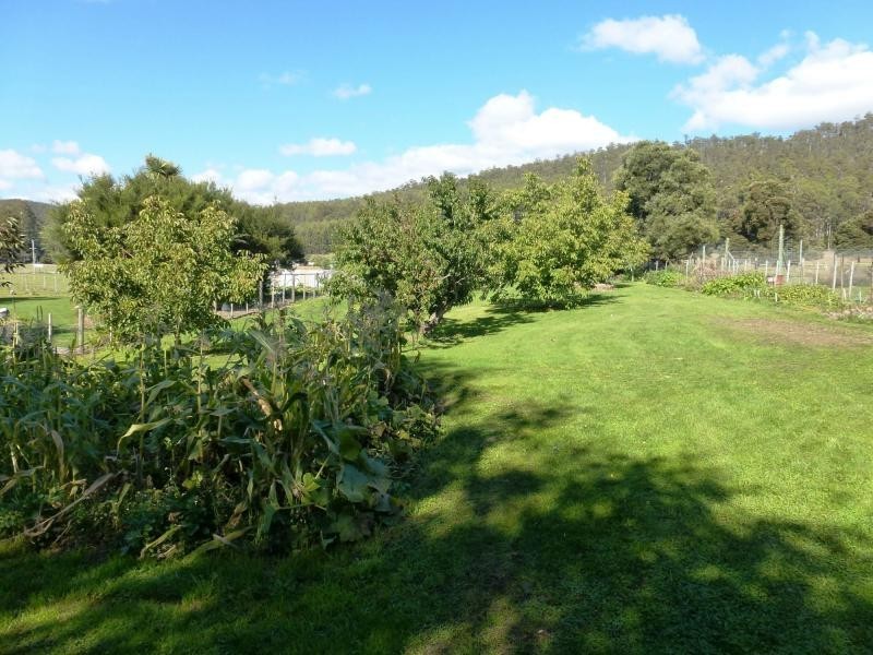 11 Union Bridge Road, Mole Creek TAS 7304