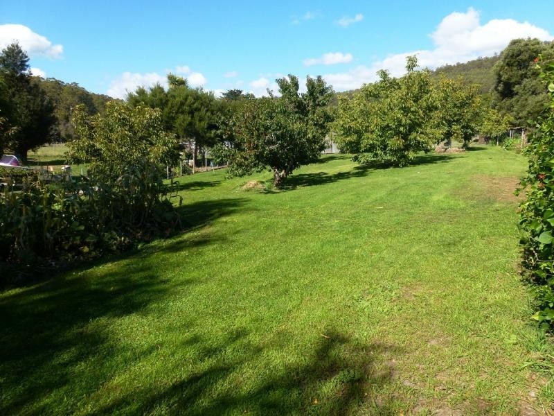 11 Union Bridge Road, Mole Creek TAS 7304