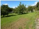 11 Union Bridge Road, Mole Creek TAS 7304