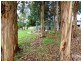 71 Beaumonts Road, Dunorlan TAS 7304