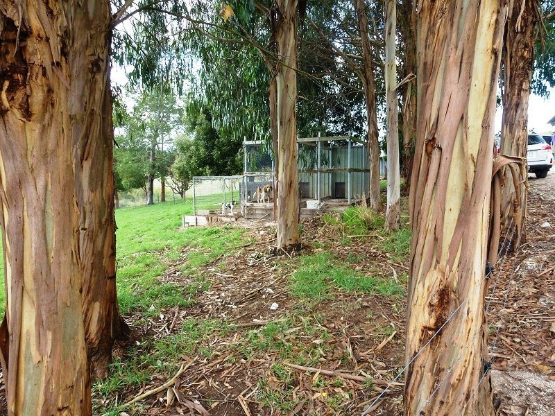 71 Beaumonts Road, Dunorlan TAS 7304