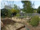 12 Beefeater Street, Deloraine TAS 7304