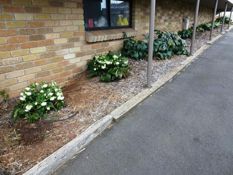 6 High Street, Deloraine TAS 7304