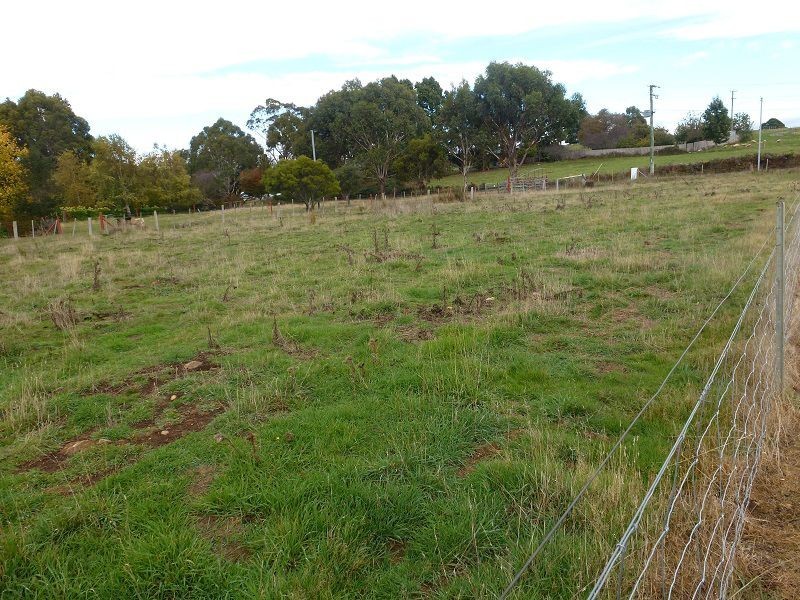 94 Samuel Street, Elizabeth Town TAS 7304