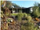 478 Union Bridge Road, Mole Creek TAS 7304