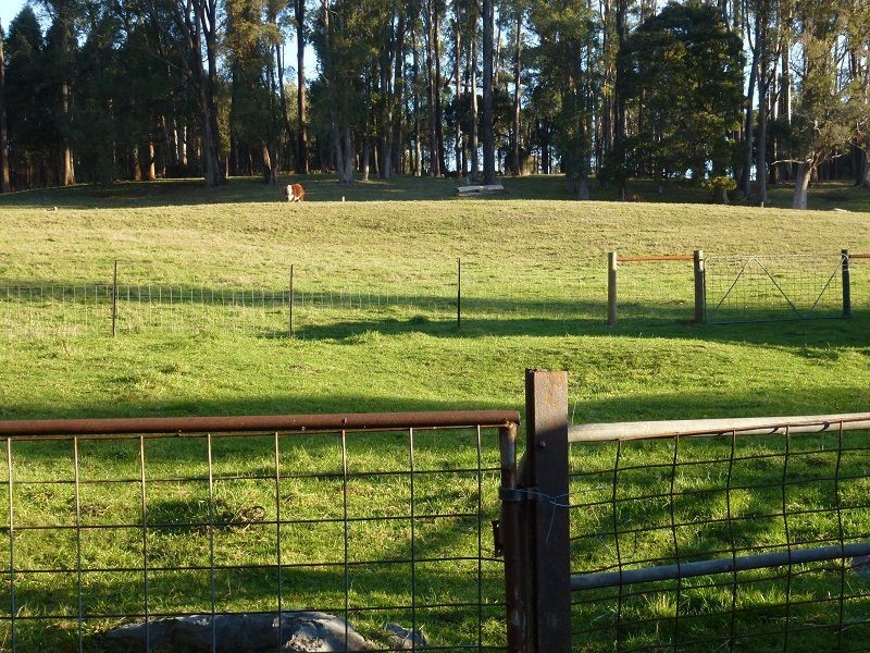 478 Union Bridge Road, Mole Creek TAS 7304