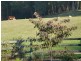 478 Union Bridge Road, Mole Creek TAS 7304