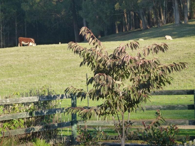 478 Union Bridge Road, Mole Creek TAS 7304