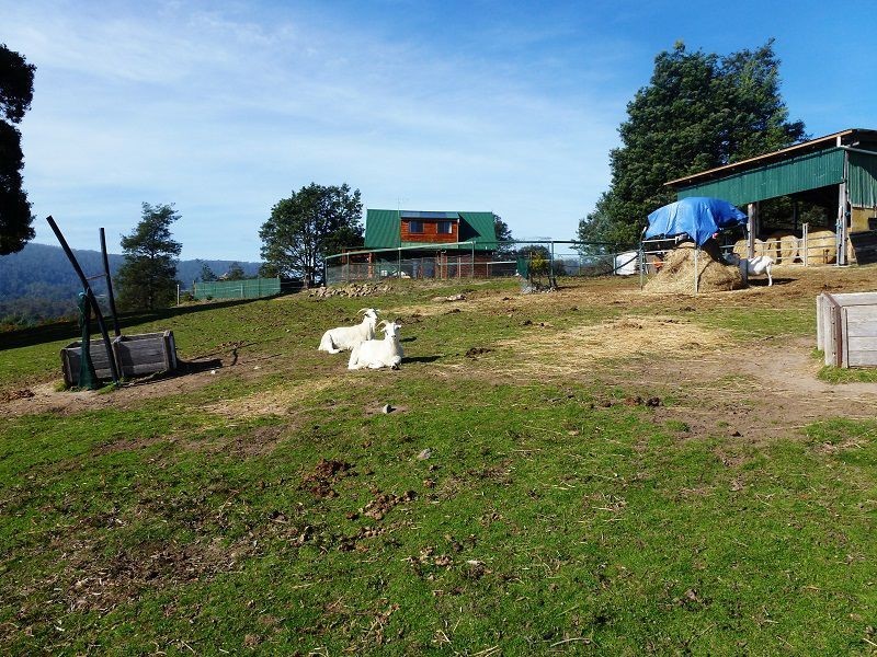 46 Wattle Lea Road, Golden Valley TAS 7304