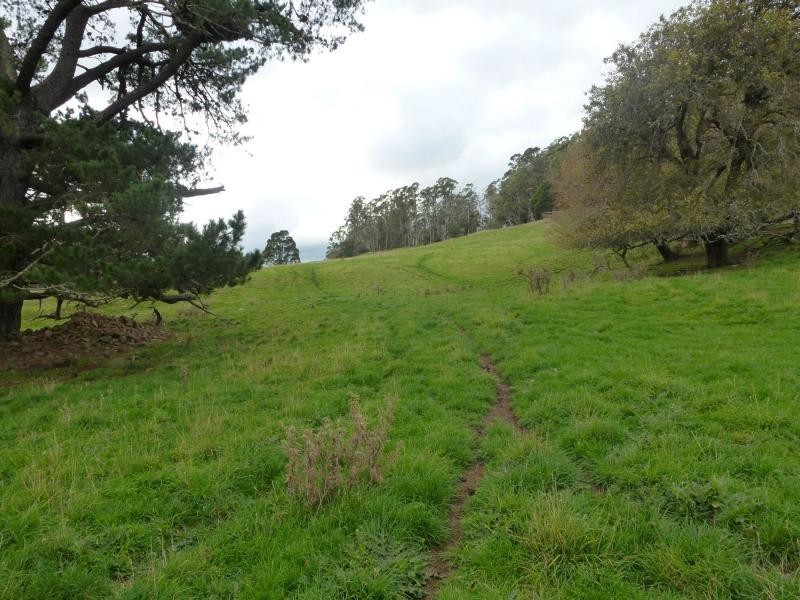 349 Claude Road, Sheffield TAS 7306