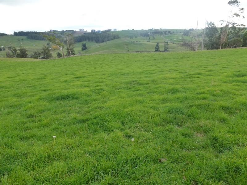 349 Claude Road, Sheffield TAS 7306