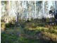 349 Claude Road, Sheffield TAS 7306