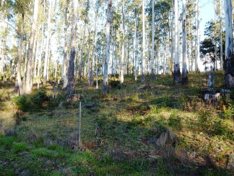 349 Claude Road, Sheffield TAS 7306