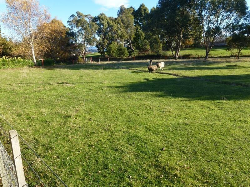 84 Samuel Street, Elizabeth Town TAS 7304