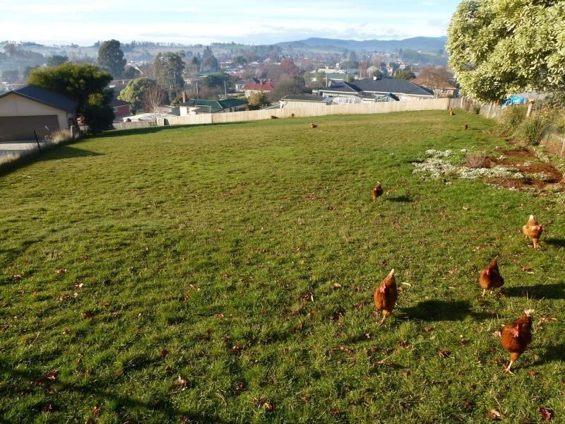 9 Quamby Court, Deloraine TAS 7304