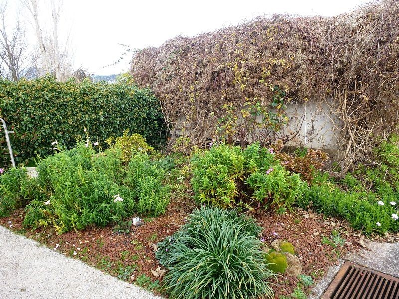 3/42 Beefeater Street, Deloraine TAS 7304